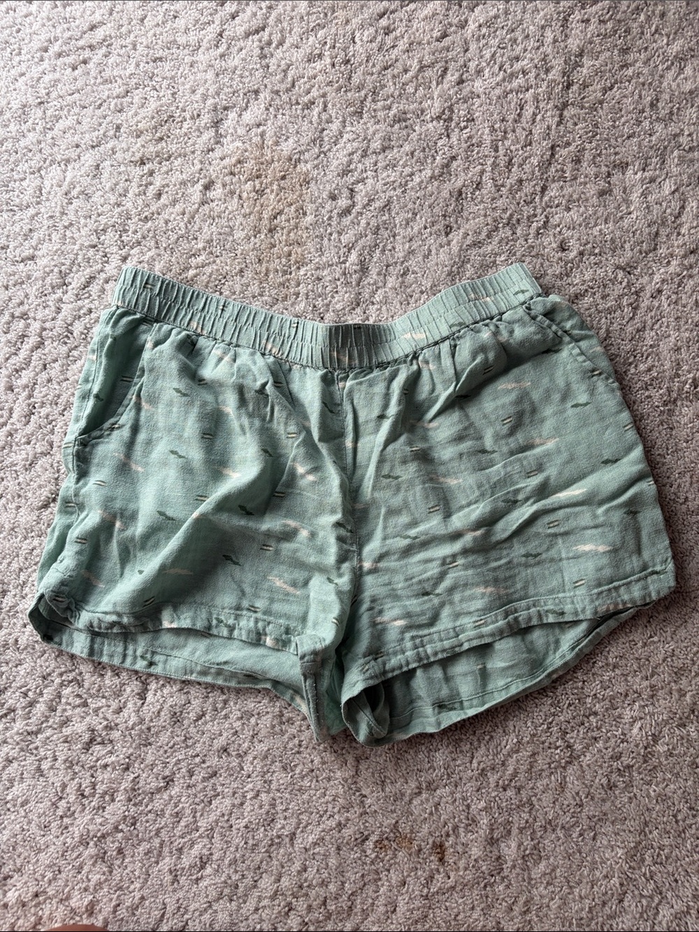 Carve Designs Mint Green Elastic-Waist Casual Shorts